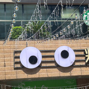 英俊潇洒小白狼