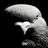 S1ROTA(каk s1mple)