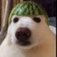 tinkeef