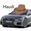Haudi