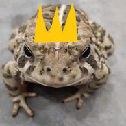 FrogKingC7