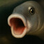 trout