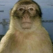 DucKpumuHaHT's avatar