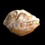Bread Rock