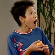 家有儿女突击手刘星