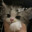 lifedivine Steam avatar