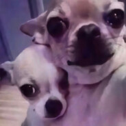 偶尔带点社会的潮男