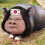 懒懒