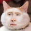 Tecak