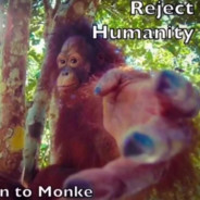 Return to monke