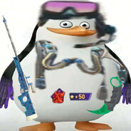 理塘最速伝說と青眼の白龍！小馬珍珠です！