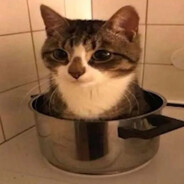linguini