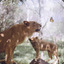 _kelevra_25_rus_