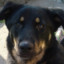 Egor