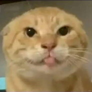 圆头耄耋[传说中的基米]