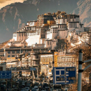 翻斗花园卖鱼的高启强