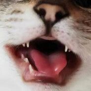 猛拳（天罚形态）