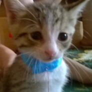 ✸ZazaGenerator420✸