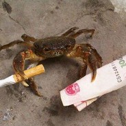 Tricky Crab