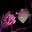 darajkian avatar
