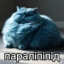 ₣Ʉ₮ɄⱤɆ