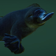Animalhendrix avatar