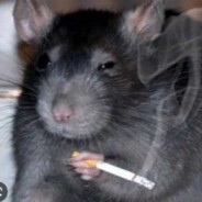 Курва рататуй