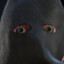 Freskito96