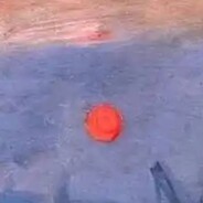 风起长林