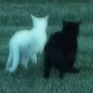 神秘黑色问号人