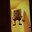The Sponge