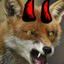 FoxDevilsWild