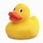 DerpDuckDerp