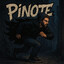 PiNOTE
