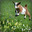 lilgoat
