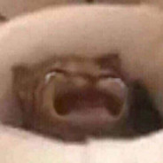 拔刀能留住落樱嘛