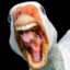 Goose