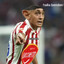 PEREZ EL RATON