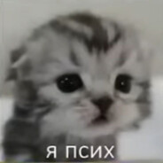 хуйнюнесенко