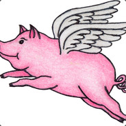 FLYINGPIG