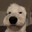 Tom Dog95