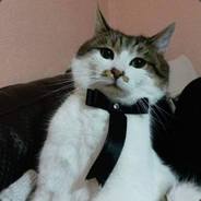 Hardwell | surrenozor.com