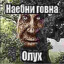 лиственница