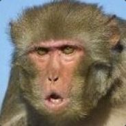 某科学的超小朋友