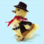 Cowboy duck