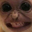 Corante