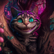 ็