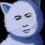 天才小熊猫