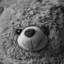 Secret.Teddy-