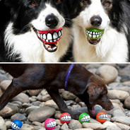 翻斗花园武叨叨